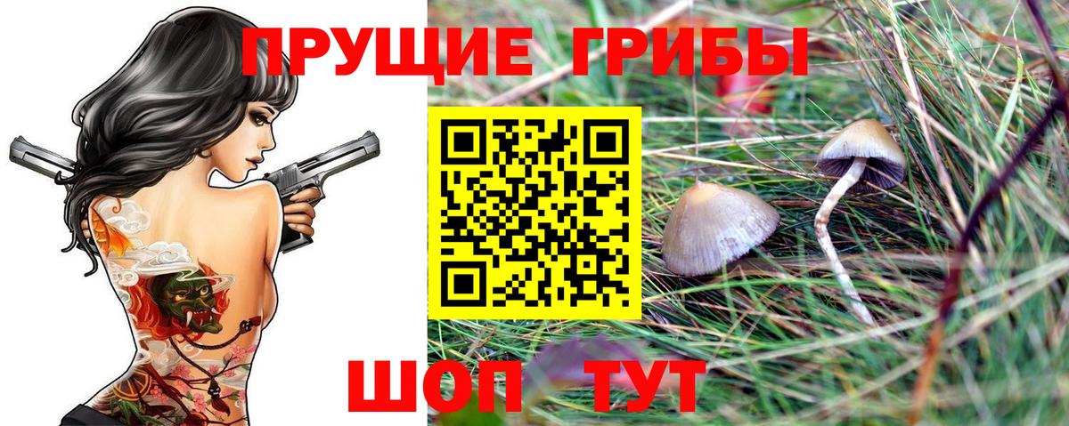 Галлюциногенные грибы прущие грибы Сургут