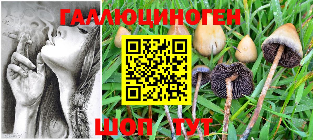 как найти   Псилоцибиновые грибы MAGIC MUSHROOMS  Вход с VPN  Сургут 